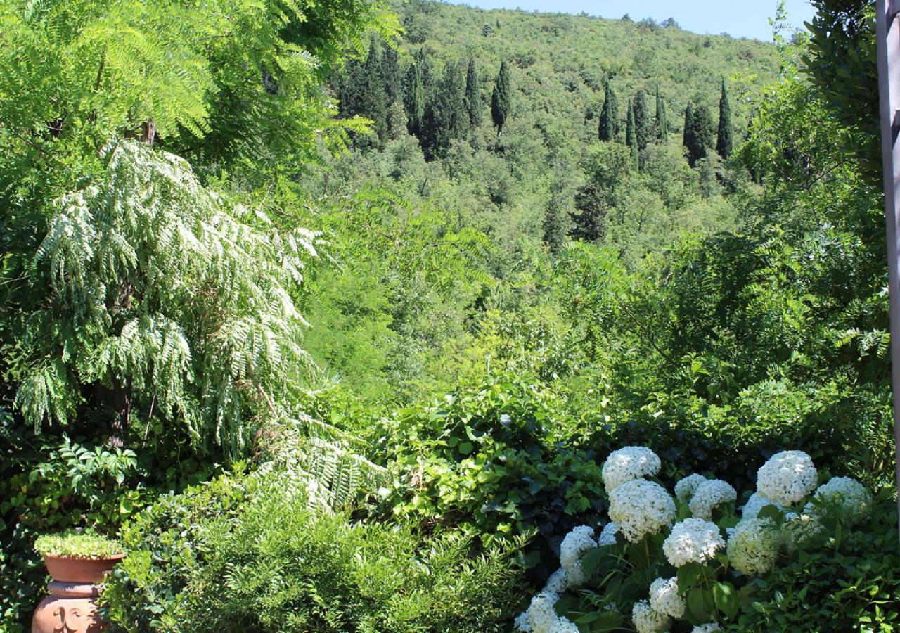Ulivo Rosso Bed & Breakfast Sesto Fiorentino Exterior foto