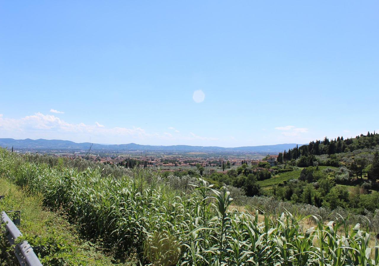 Ulivo Rosso Bed & Breakfast Sesto Fiorentino Exterior foto